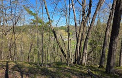 Wagon Trail Rd, Spring Valley, WI 54767