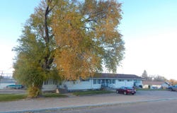 635 Calder Ave, American Falls, ID 83211