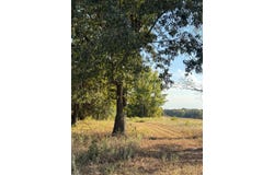 269 Butler Pool Road, Idabel, OK 74745