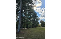 Hwy 13, Mendenhall, MS 39114