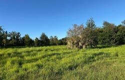 11022 NW 38TH DRIVE, Jasper, FL 32052