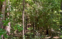324 Leisure Lane, Etoile, TX 75944