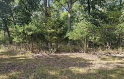 N Violet Court, Dix, IL 62830