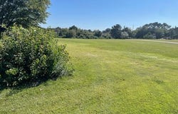 72 CO RD 3184, Haleyville, AL 35565