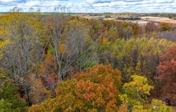 Pin Oak Rd, Prospect, VA 23960