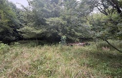 529 E Oak Street, Brownstown, IL 62418