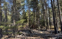 Cloudcap Drive, Chiloquin, OR 97624