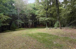 17 WILSON DR, MONTEBELLO, VA 24464