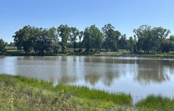 BEN BOSTICK Road, Quincy, FL 32351