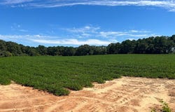 72.75 Boll Weevil Circle, Enterprise, AL 36330
