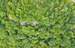 Pepper RD, Rocky Mount, VA 24151