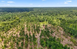 County Road 332, Lacey, AR 71675