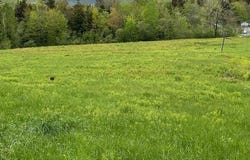 309 VT Route 100, Dover, VT 05356