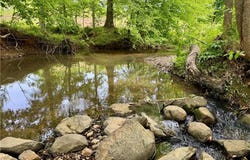 Thayer Road lot: 7, Trinity, NC 27370