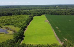 20 ACRES LIBERTY Rd, Moscow, TN 38057