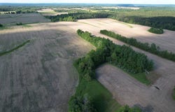 Jones Orchard Rd, Golconda, IL 62938