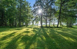 14560 Gazebo Drive, Park Rapids, MN 56470