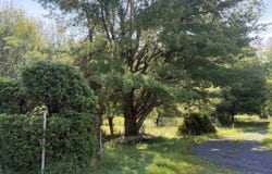 62 County Route 32, Canton, NY 13617