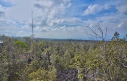 OHIA DR, Ocean View, HI 96737