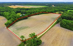 Pig Palace Lane, Council, NC 28434