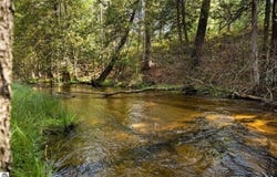 11663 SE Blueberry Trail, Fife Lake, MI 49633-9402