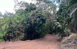 Adjuntas, Adjuntas, PR 00601