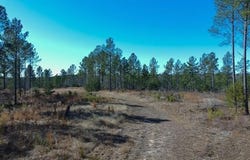 Fields Road, Pauline, SC 29374