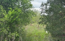 Dickerson Rd, Kyle, TX 78640
