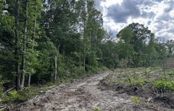 N Nc 11 Highway, Murfreesboro, NC 27855