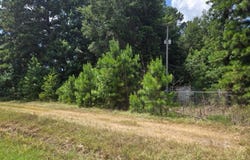 .91 Acre Highway 82, Winthrop, AR 71845