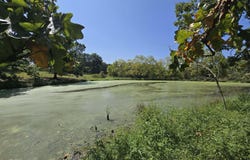 24770 Juniper Road, Lebanon, MO 65536