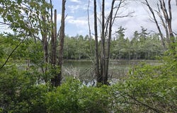 4063 Monaghan Point Road, Alpena, MI 49707