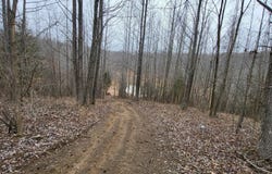 SR. 91 North, Marion, KY 42064