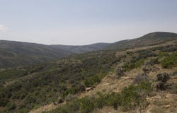 TBD County Road 47, Hamilton, CO 81638