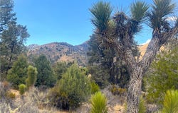 Pine Hollow Rd., Onyx, CA 93255