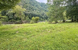 753 Doc Fox Road, FOREST HILL, WV 24935