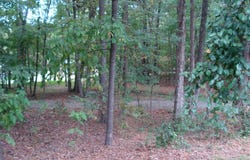 809 Brandon Road, Durham, NC 27713