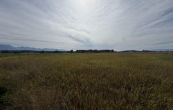 4675 MT Highway 35, Kalispell, MT 59901