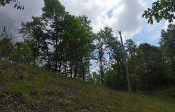 Shay Ridge Road, Wingett Run, OH 45789
