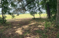 104A Adams Drive, Pangburn, AR 72121