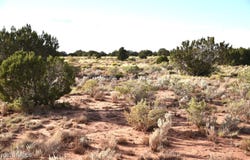 N Santa Clara Road, Williams, AZ 86046