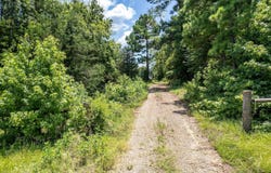 Star Mountain lot: 71, Winona, TX 75792