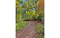 Bud Mountain Road, BUD, WV 24617