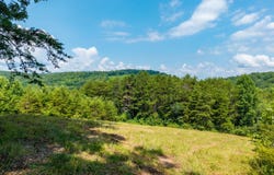 Hwy 68, Tellico Plains, TN 37385
