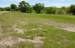 CR 4833, Leonard, TX 75452