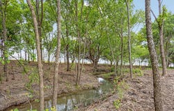 Jameson, Van Alstyne, TX 75495