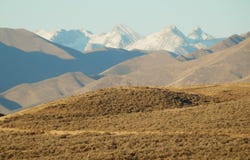 Spud Patch Rd, Blaine County, ID 83313