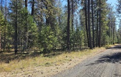385X AGAR Rd, LOON LAKE, WA 99148