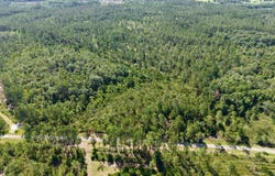 3839 SW Oregon Trail, Greenville, FL 32331