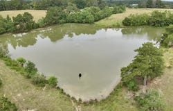 22 Acres County Road 661, Samson, AL 36477